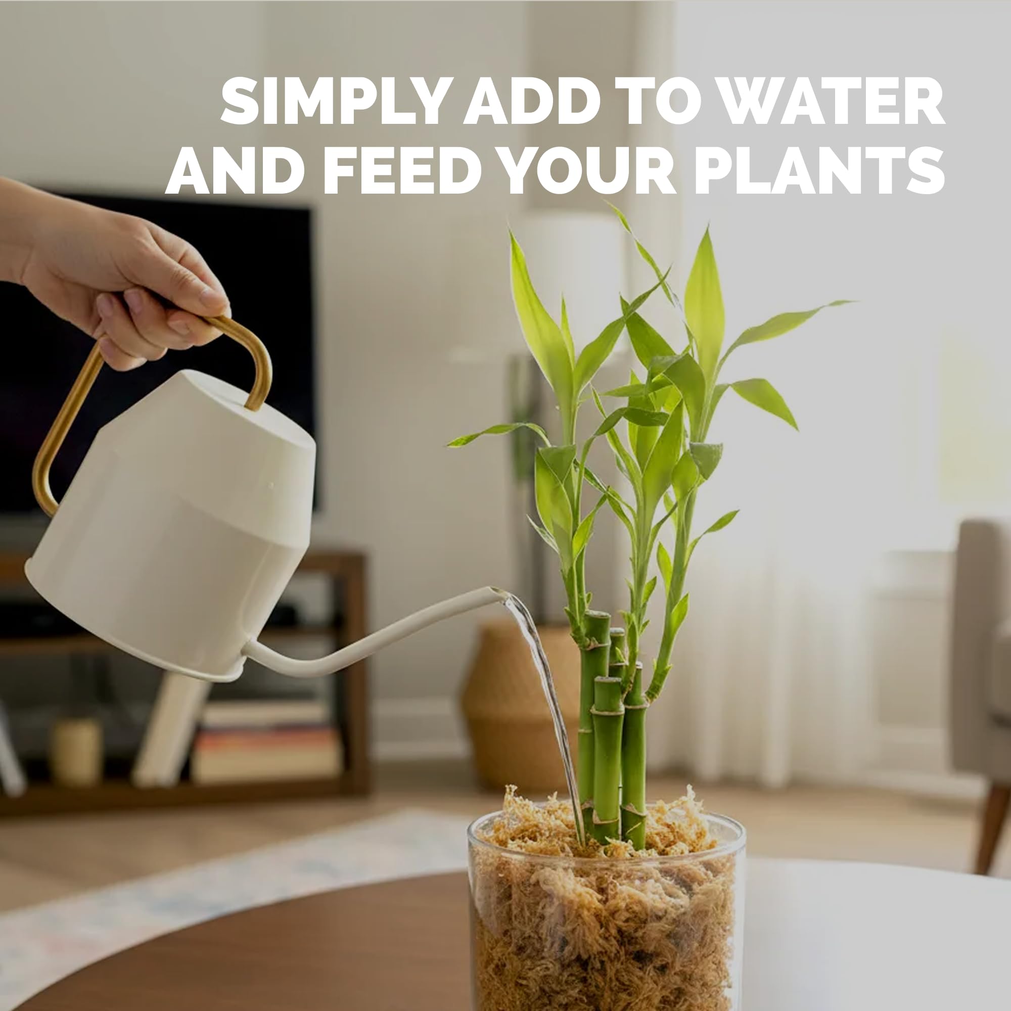 TPS NUTRIENTS Lucky Bamboo Fertilizer promotes greener stalks with vibrant growth.