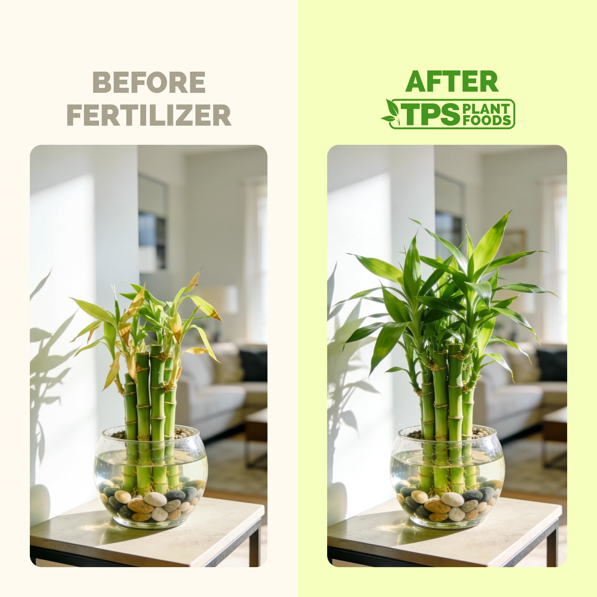 TPS NUTRIENTS Lucky Bamboo Fertilizer measuring cap helps precise feeding.