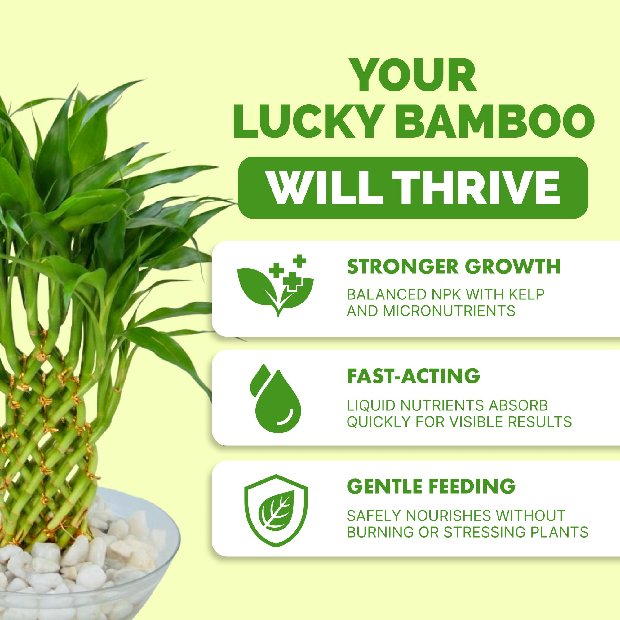 TPS NUTRIENTS Lucky Bamboo Fertilizer bottle shows easy pour design for simple dosing.