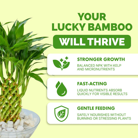 TPS NUTRIENTS Lucky Bamboo Fertilizer bottle shows easy pour design for simple dosing.
