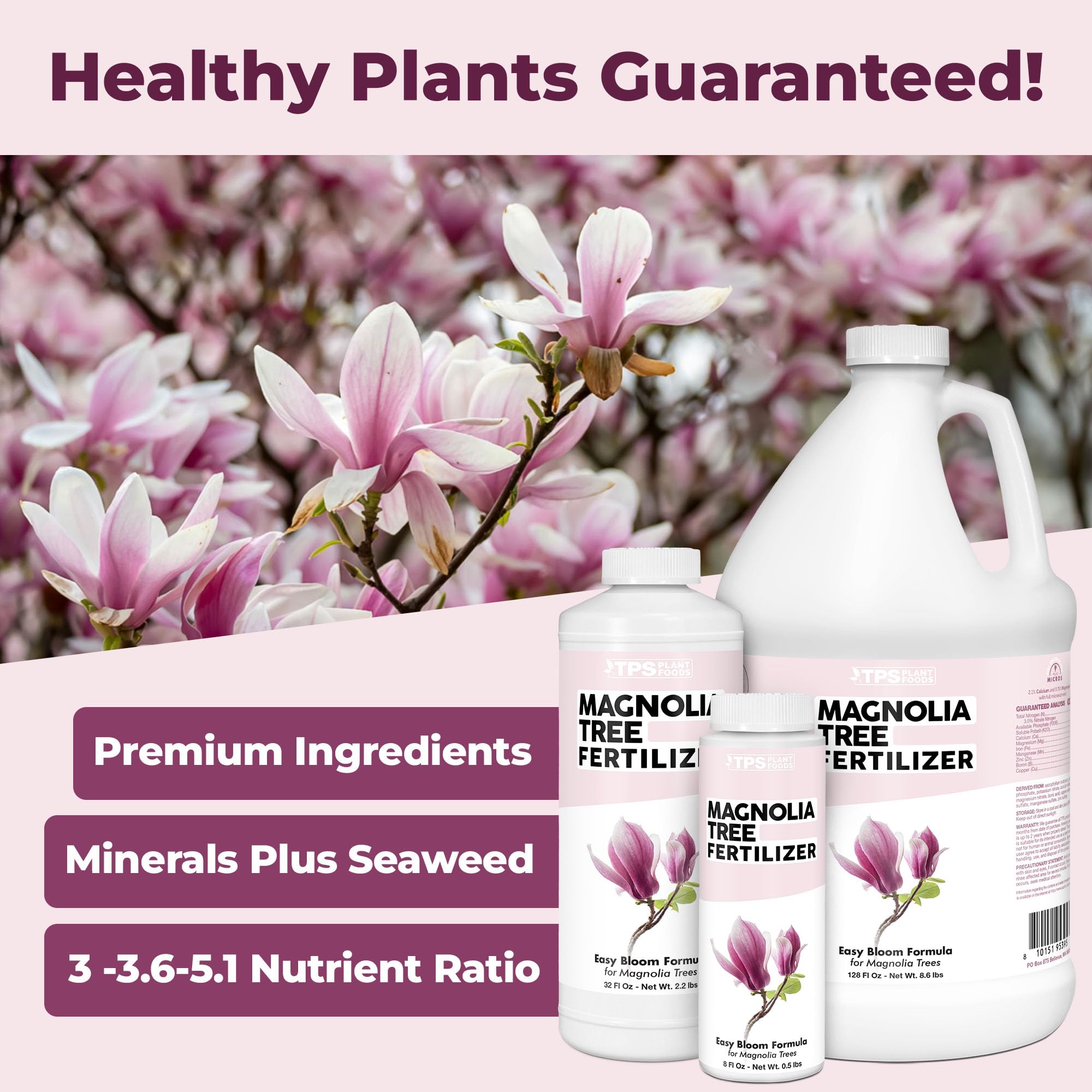 TPS NUTRIENTS Magnolia bloom development preview promotes showy magnolia flowers.
