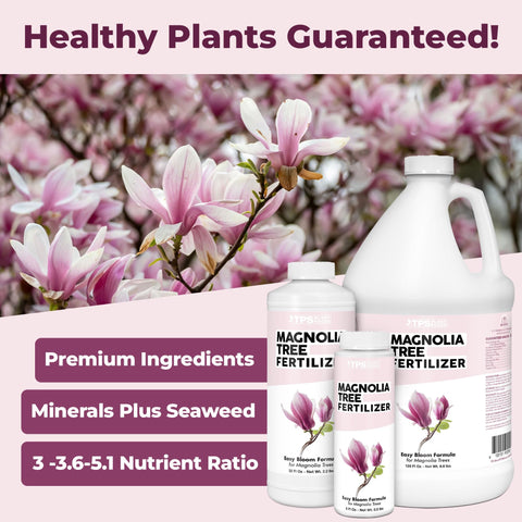 TPS NUTRIENTS Magnolia bloom development preview promotes showy magnolia flowers.