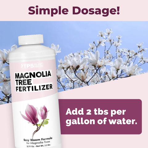 TPS NUTRIENTS Magnolia Tree Fertilizer green leaves promoting lush foliage