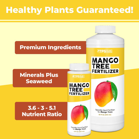 TPS NUTRIENTS Mango Tree Fertilizer applied to a container tree.
