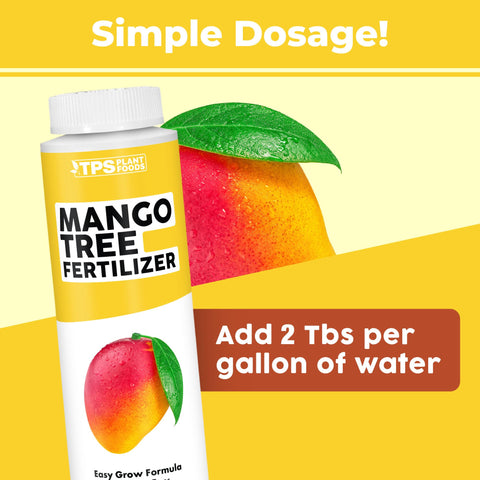 TPS NUTRIENTS mango-tree fertilizer pour demonstrates simple application for fruiting support.