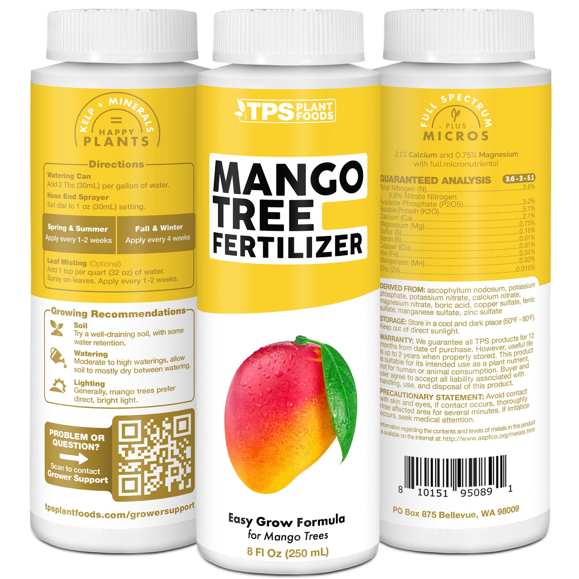 TPS NUTRIENTS Mango Tree with developing fruit after feeding.