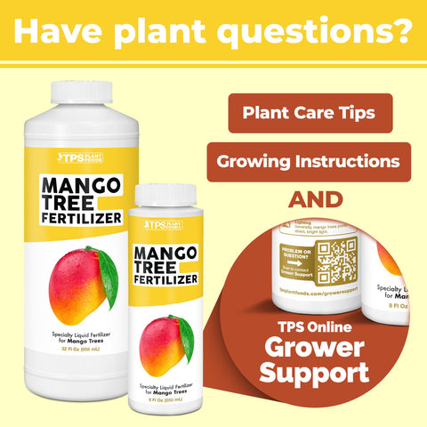 TPS NUTRIENTS Mango Tree thriving in a warm-climate garden.