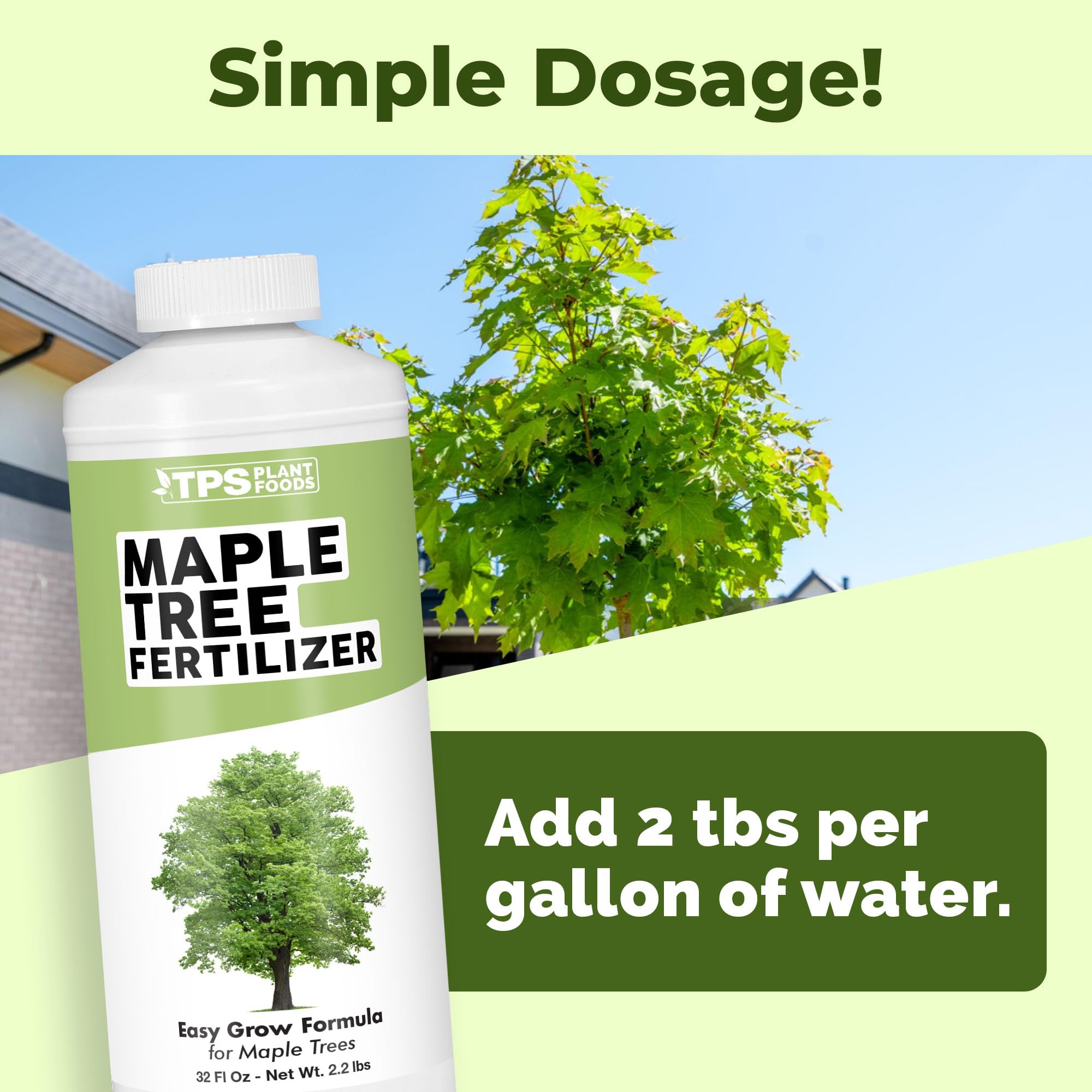 TPS NUTRIENTS Maple Tree Fertilizer application demonstrates simple feeding for healthy roots.