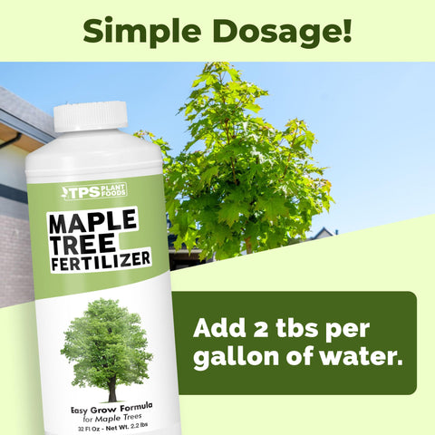 TPS NUTRIENTS Maple Tree Fertilizer application demonstrates simple feeding for healthy roots.