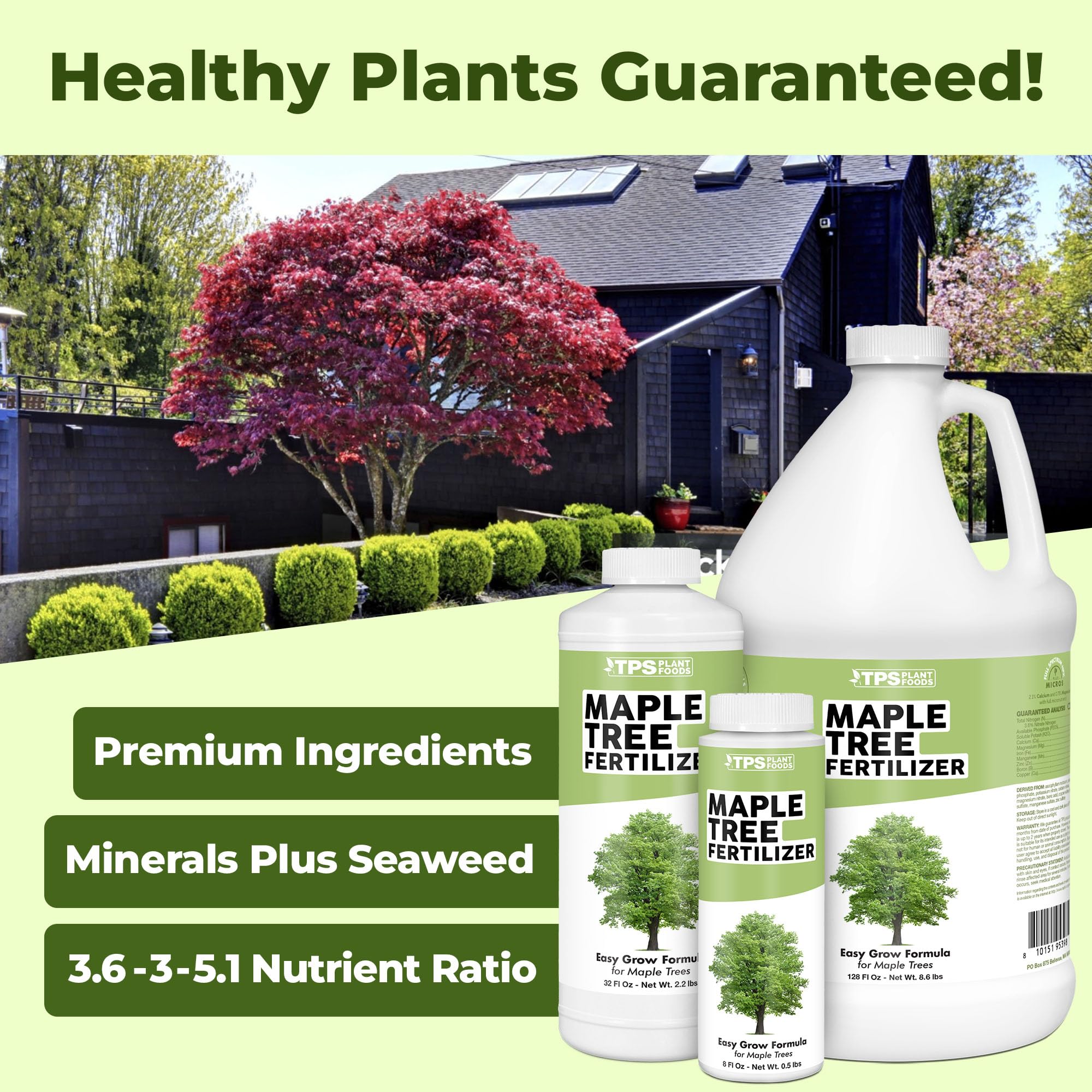 TPS NUTRIENTS Maple Tree Fertilizer leaves boosted color and lush growth.
