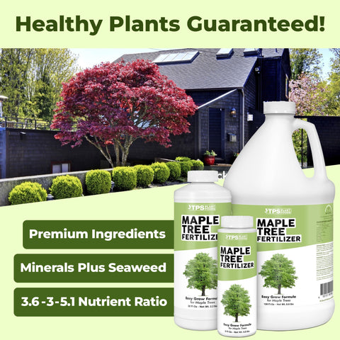 TPS NUTRIENTS Maple Tree Fertilizer leaves boosted color and lush growth.
