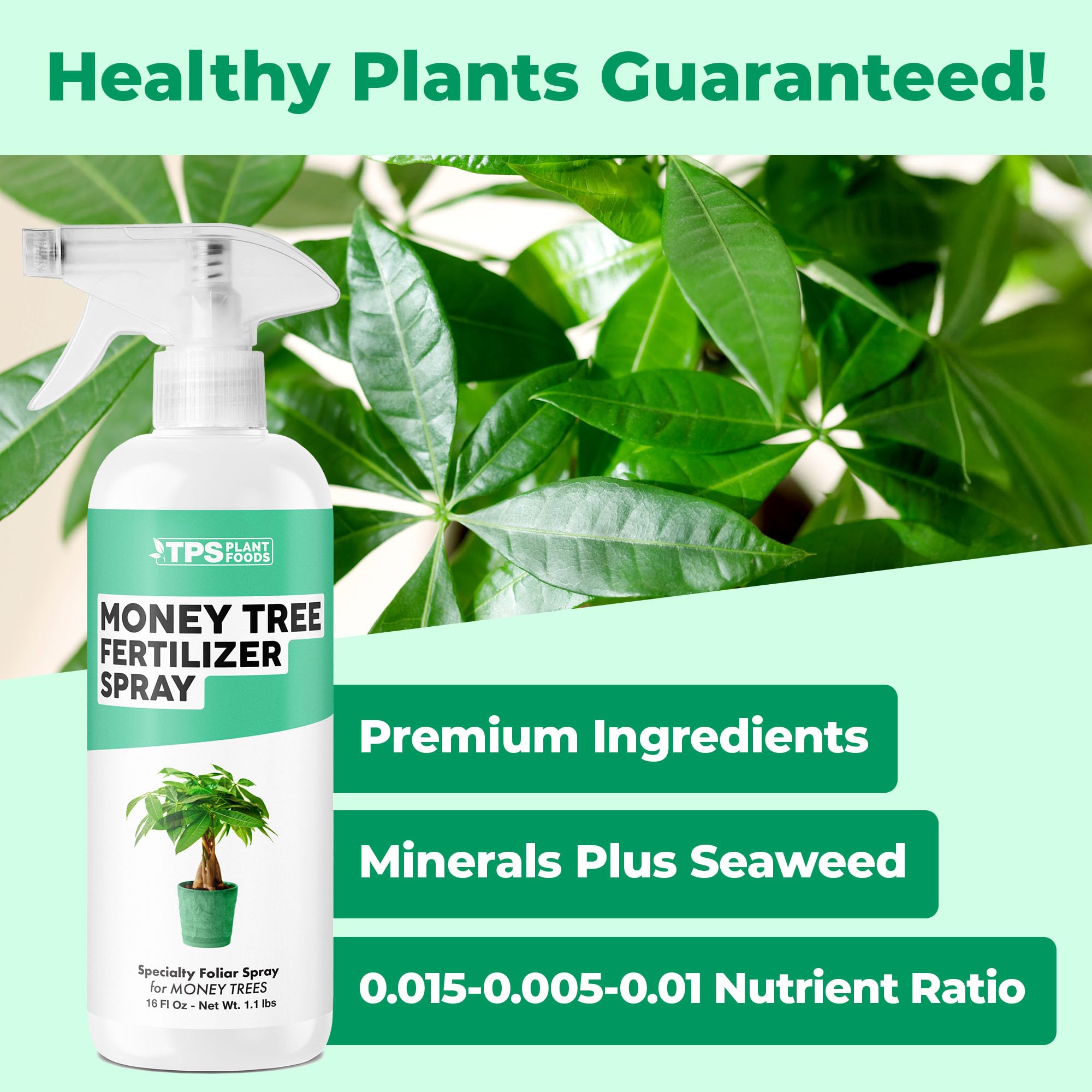 TPS NUTRIENTS Money Tree foliar spray on leaves supports quick nutrient uptake.