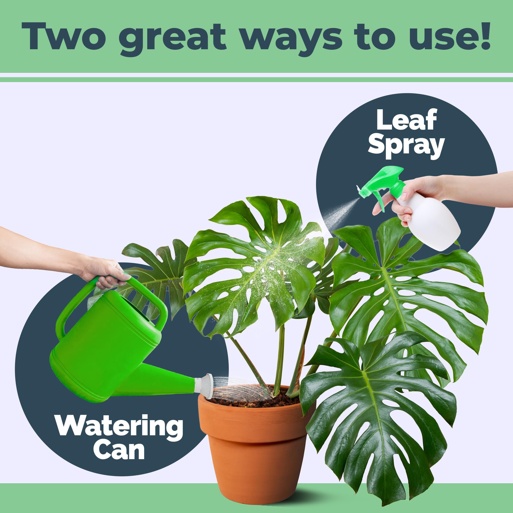 TPS NUTRIENTS Monstera dosing measure enables easy, accurate application.