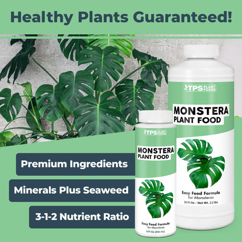 TPS NUTRIENTS Monstera leaves close-up highlights lush, healthy foliage.
