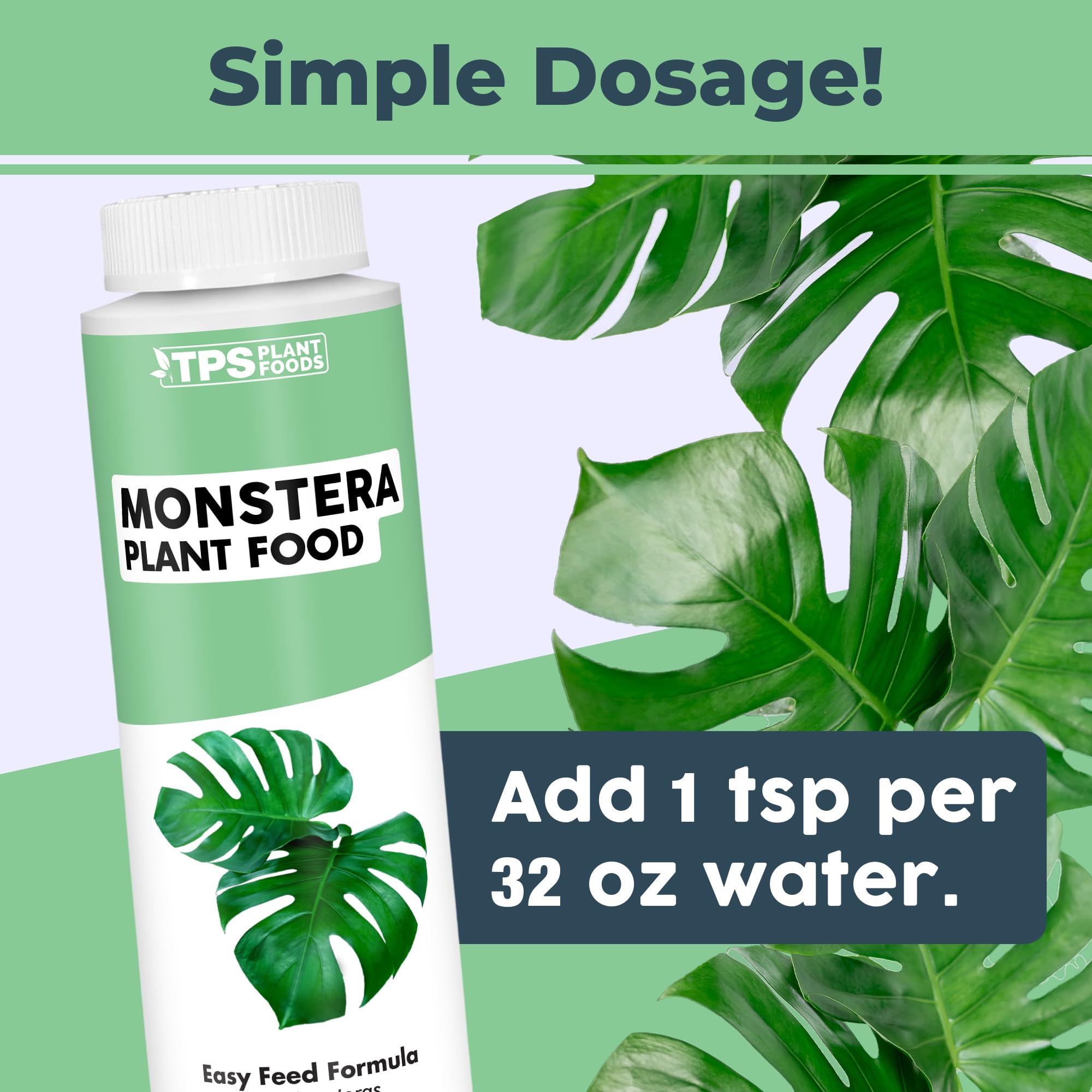 TPS NUTRIENTS Monstera roots healthy growth beneath soil.