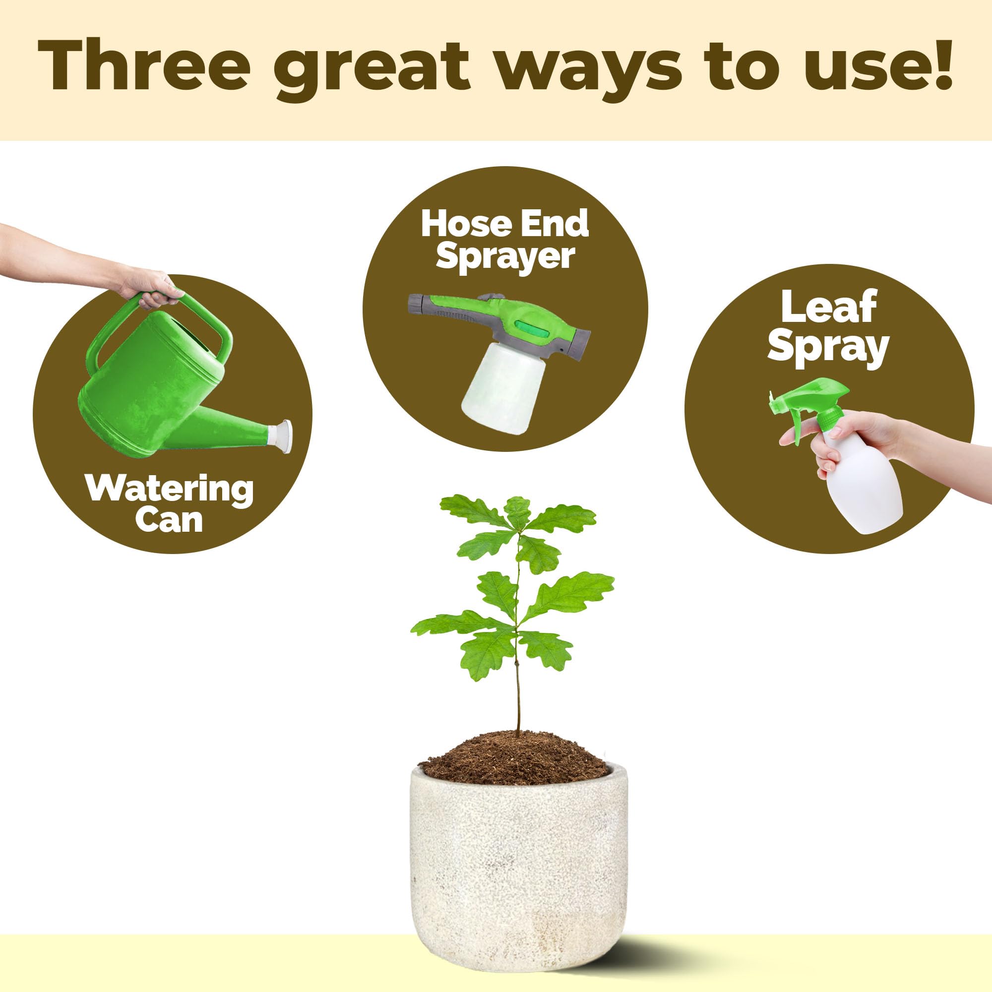 TPS NUTRIENTS Oak Tree Fertilizer promotes lush green foliage and seasonal vitality