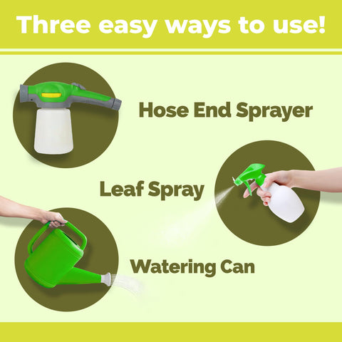 TPS NUTRIENTS Olive Tree Fertilizer application water image illustrates gentle, regular feeding.