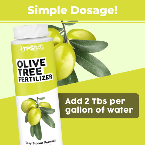 Pouring TPS NUTRIENTS Olive Tree Fertilizer into watering can for routine feeding