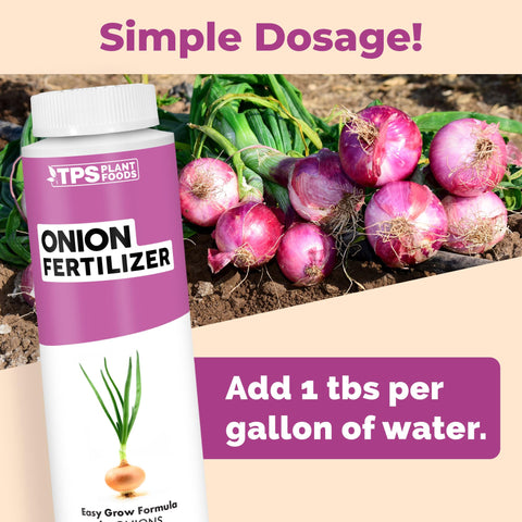 TPS NUTRIENTS Onion Fertilizer being applied with a watering can for easy uptake.