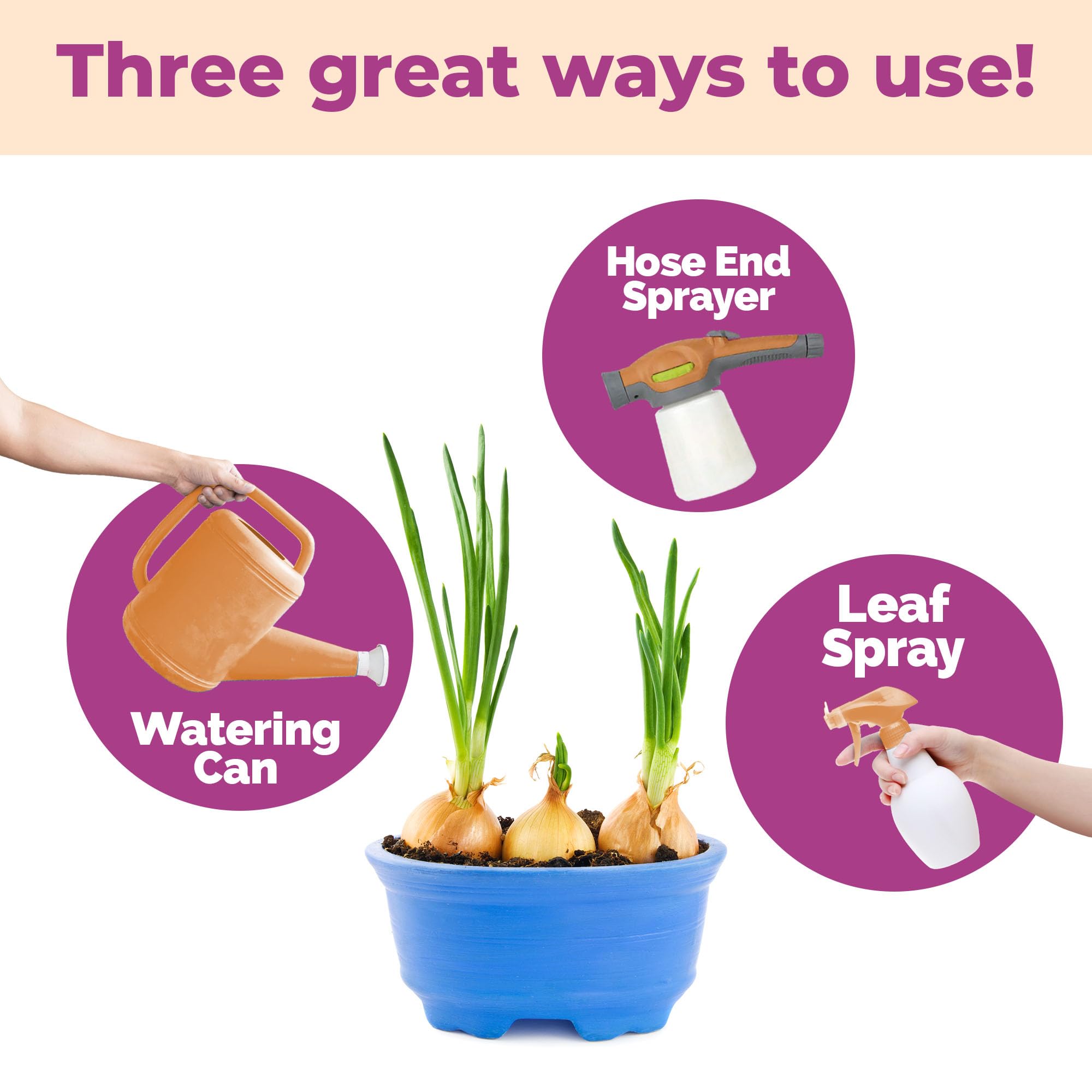 TPS NUTRIENTS Onion Garden showing healthy tops and large bulbs in soil.