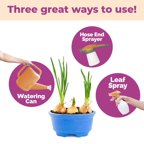 TPS NUTRIENTS Onion Garden showing healthy tops and large bulbs in soil.