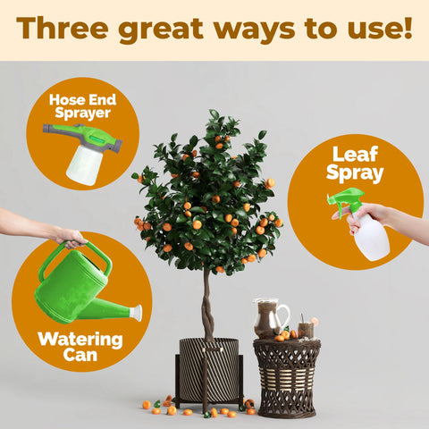 Orange tree flowering and fruit set enhanced by TPS NUTRIENTS fertilizer
