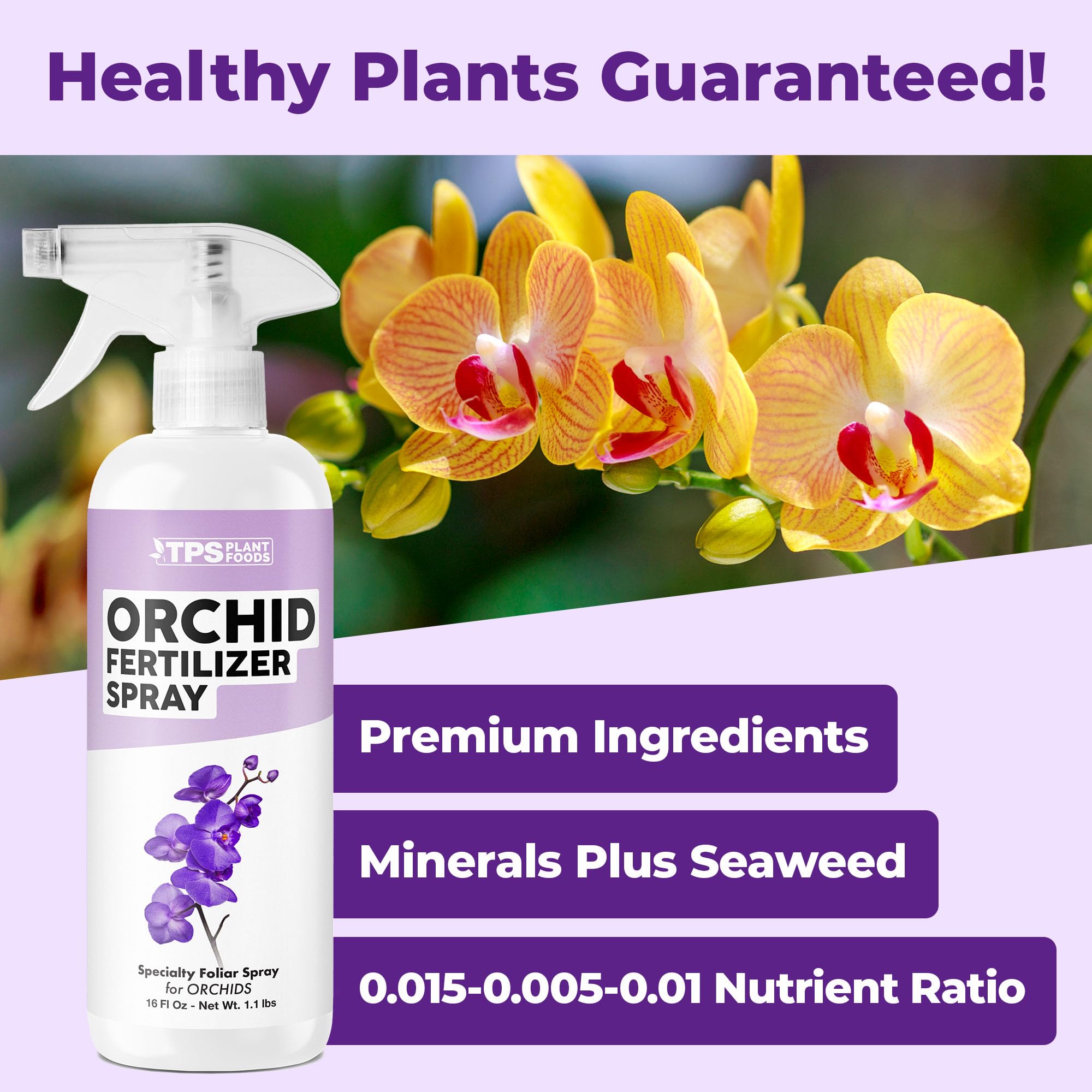 TPS NUTRIENTS Orchid Food Spray flowers close-up promotes blooms and vibrant foliage.