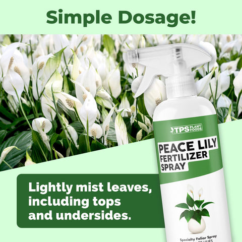 TPS NUTRIENTS Peace Lily flower enhanced by gentle nutrient spray.