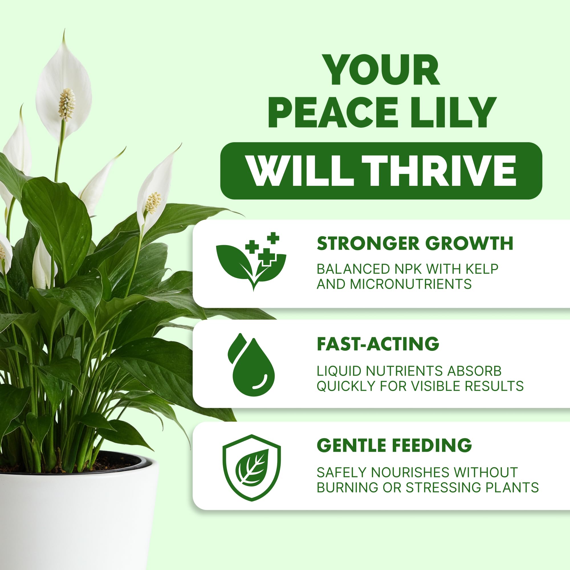 Close-up of TPS Nutrients Peace Lily label showing reliable, balanced nutrition.