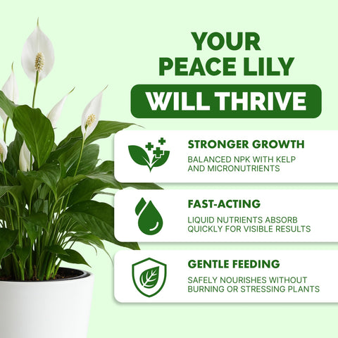 Close-up of TPS Nutrients Peace Lily label showing reliable, balanced nutrition.