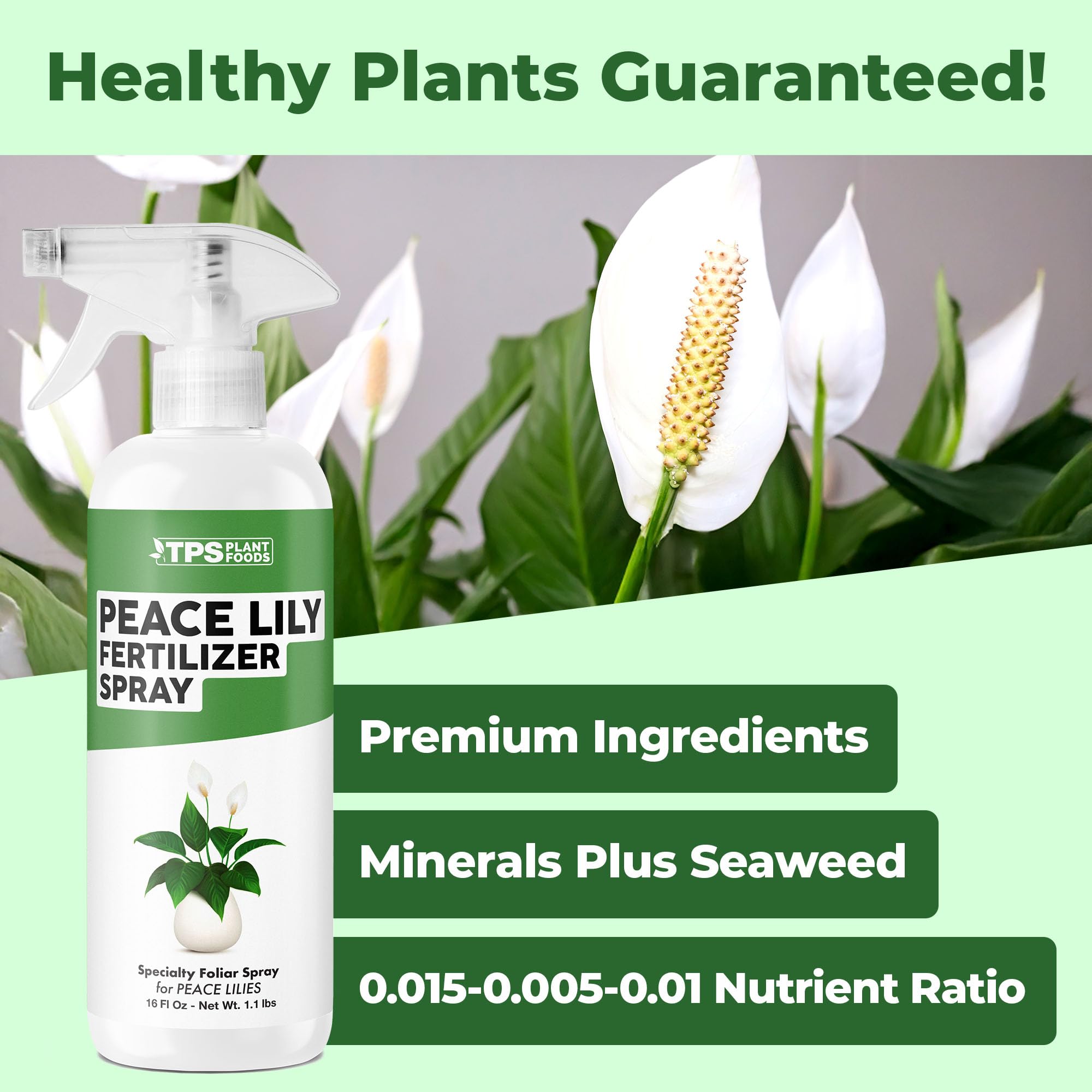 TPS NUTRIENTS Peace Lily leaves show vibrant green growth after foliar spray.