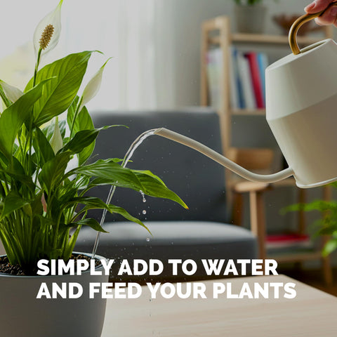 Measuring cup with Peace Lily liquid fertilizer for precise application.