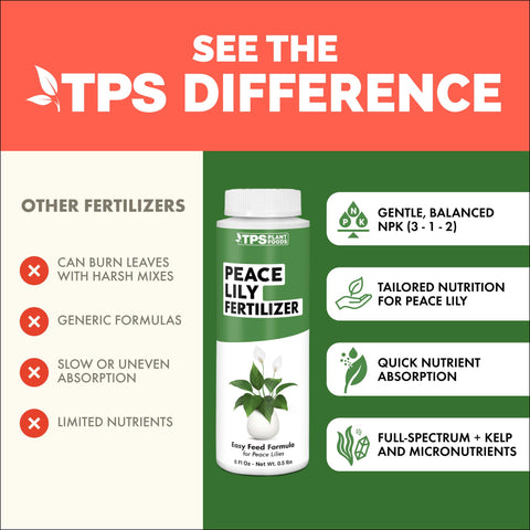 Healthy roots of a Peace Lily aided by gentle feeding from TPS Nutrients.