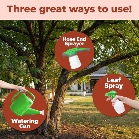 TPS NUTRIENTS Pecan Tree Fertilizer supports lush canopy growth