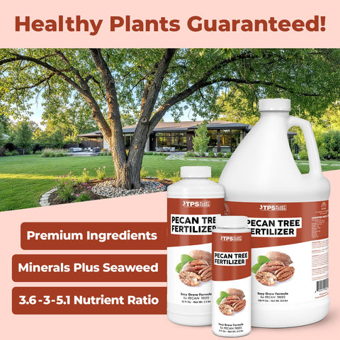 TPS NUTRIENTS Pecan Tree Fertilizer being diluted in water for application