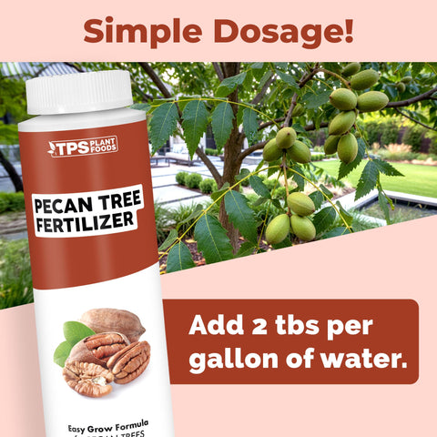 TPS NUTRIENTS Pecan Tree Fertilizer promotes robust root development