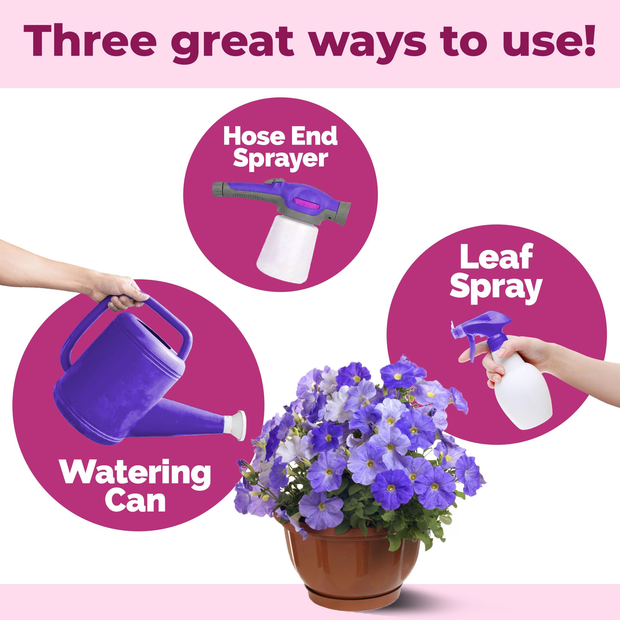 TPS NUTRIENTS Petunia Fertilizer container in baskets demonstrates easy garden care.