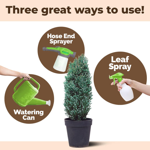 TPS NUTRIENTS Pine Tree Fertilizer used in yard and landscape settings for balanced nutrition.