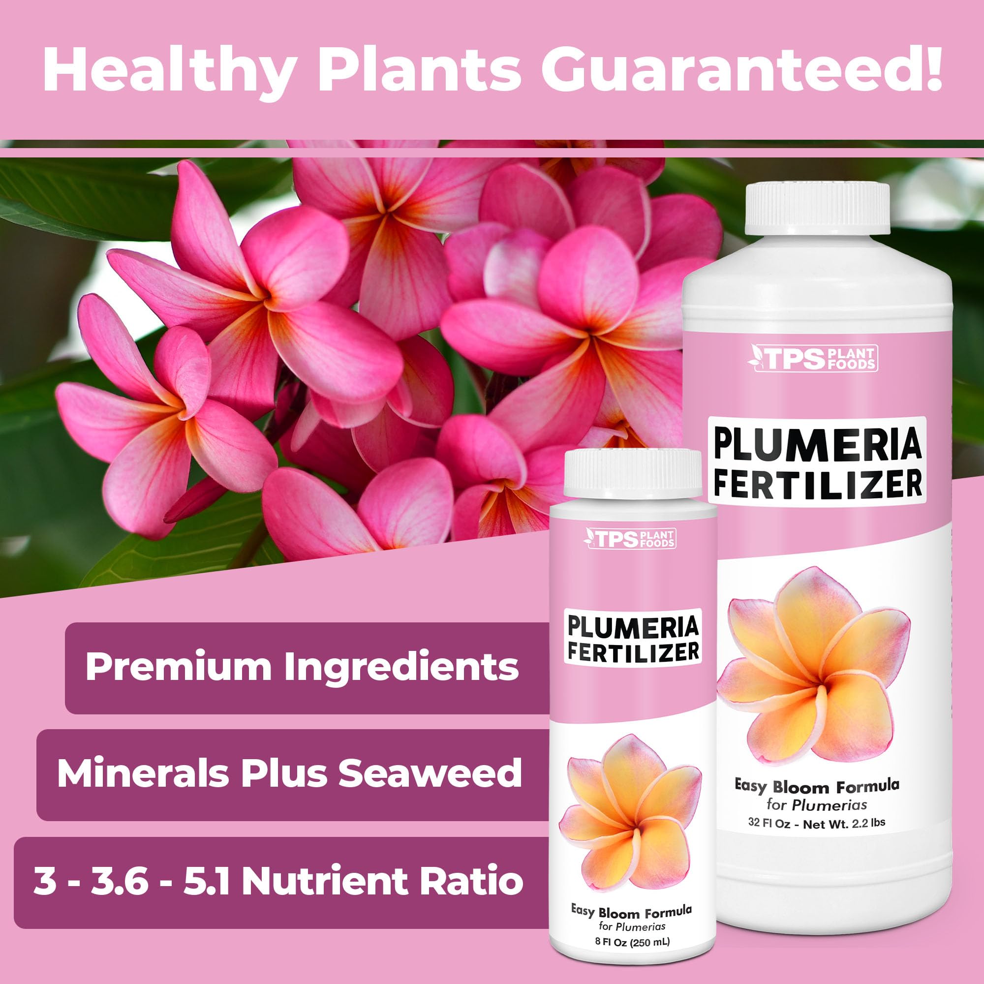 TPS NUTRIENTS Plumeria Fertilizer bloom closeup highlights colorful flowers and healthy development.