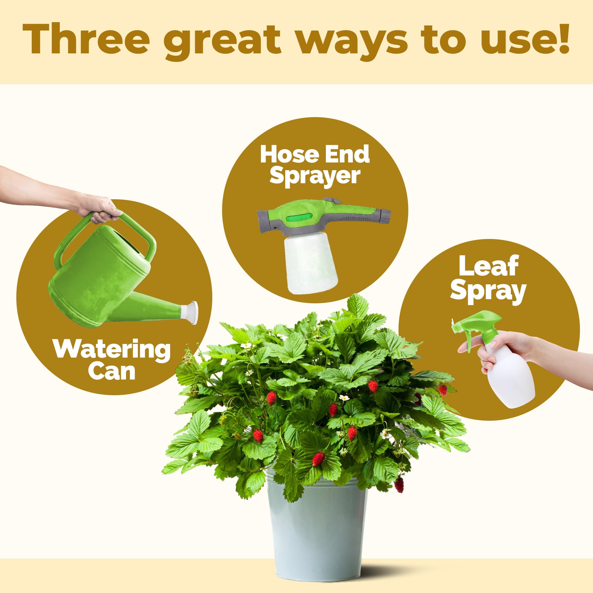 TPS NUTRIENTS plant care with clear usage instructions for beginners.