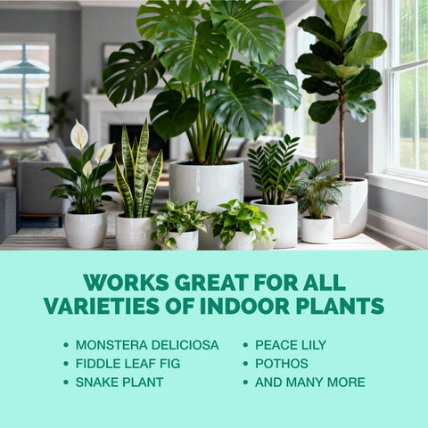 TPS NUTRIENTS potted indoor plant scene shows convenient container care