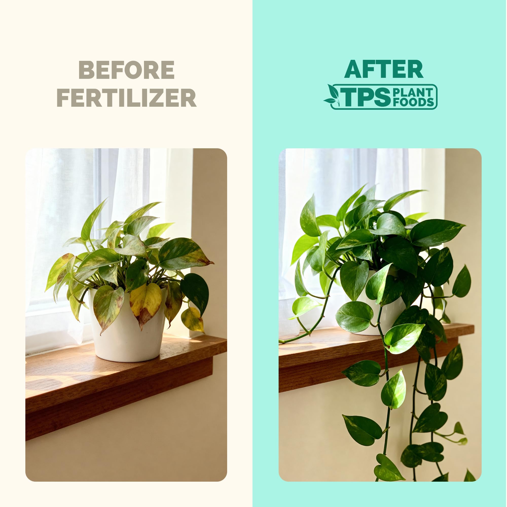 TPS NUTRIENTS root growth illustration emphasizes strong roots.
