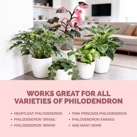 TPS NUTRIENTS root health boost for philodendron care.