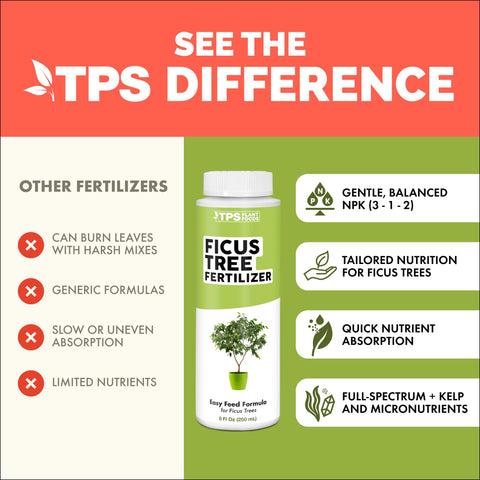 TPS NUTRIENTS root strength boost for healthier container ficus roots.