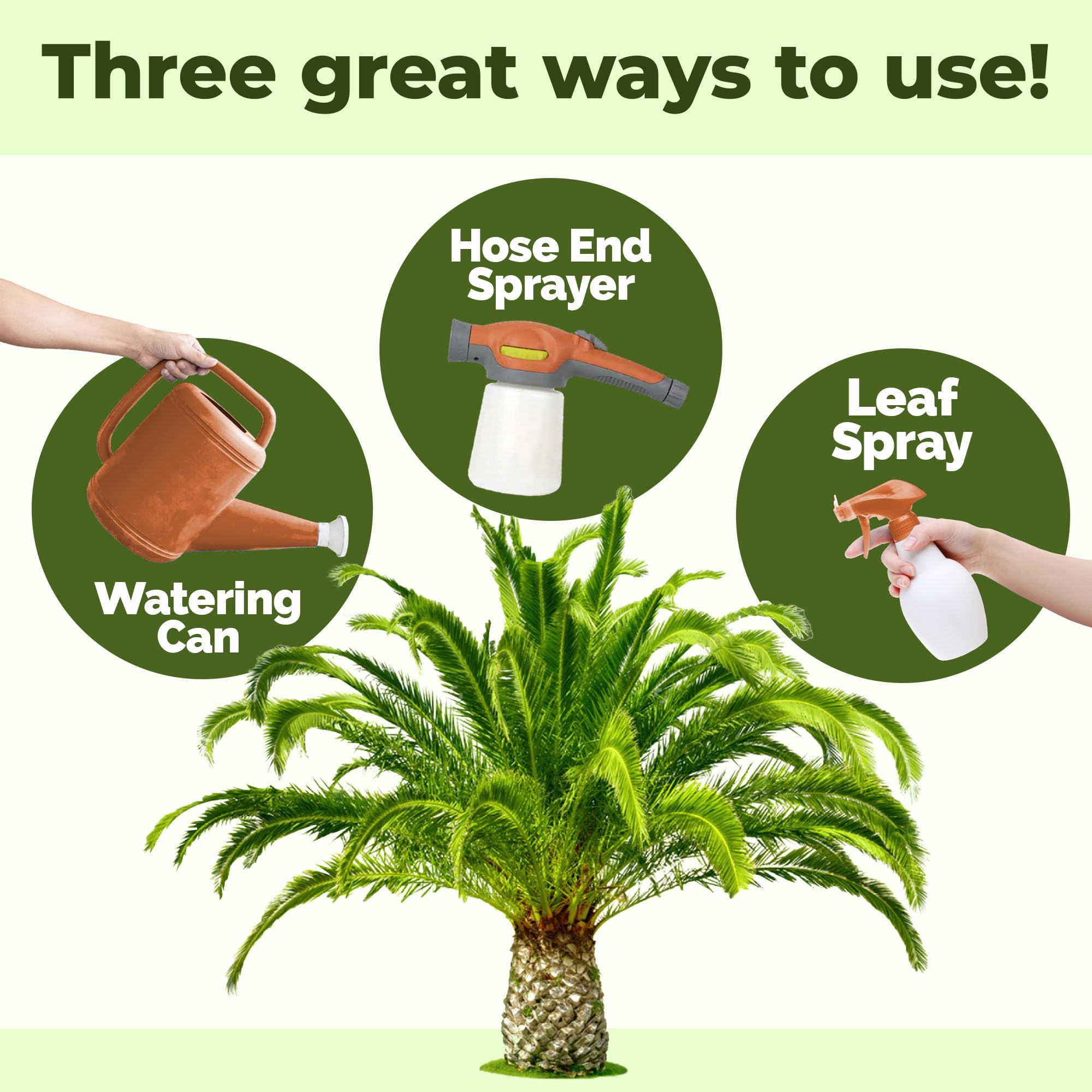 TPS NUTRIENTS Sago Palm Fertilizer promotes stronger roots for tropical palms.