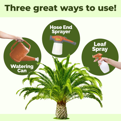 TPS NUTRIENTS Sago Palm Fertilizer promotes stronger roots for tropical palms.