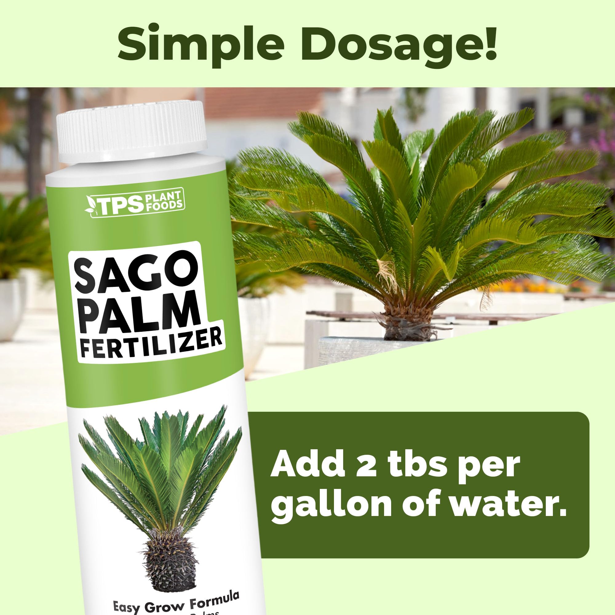 TPS NUTRIENTS Sago Palm Fertilizer enhances vibrant green fronds after use.