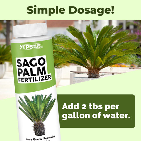 TPS NUTRIENTS Sago Palm Fertilizer enhances vibrant green fronds after use.