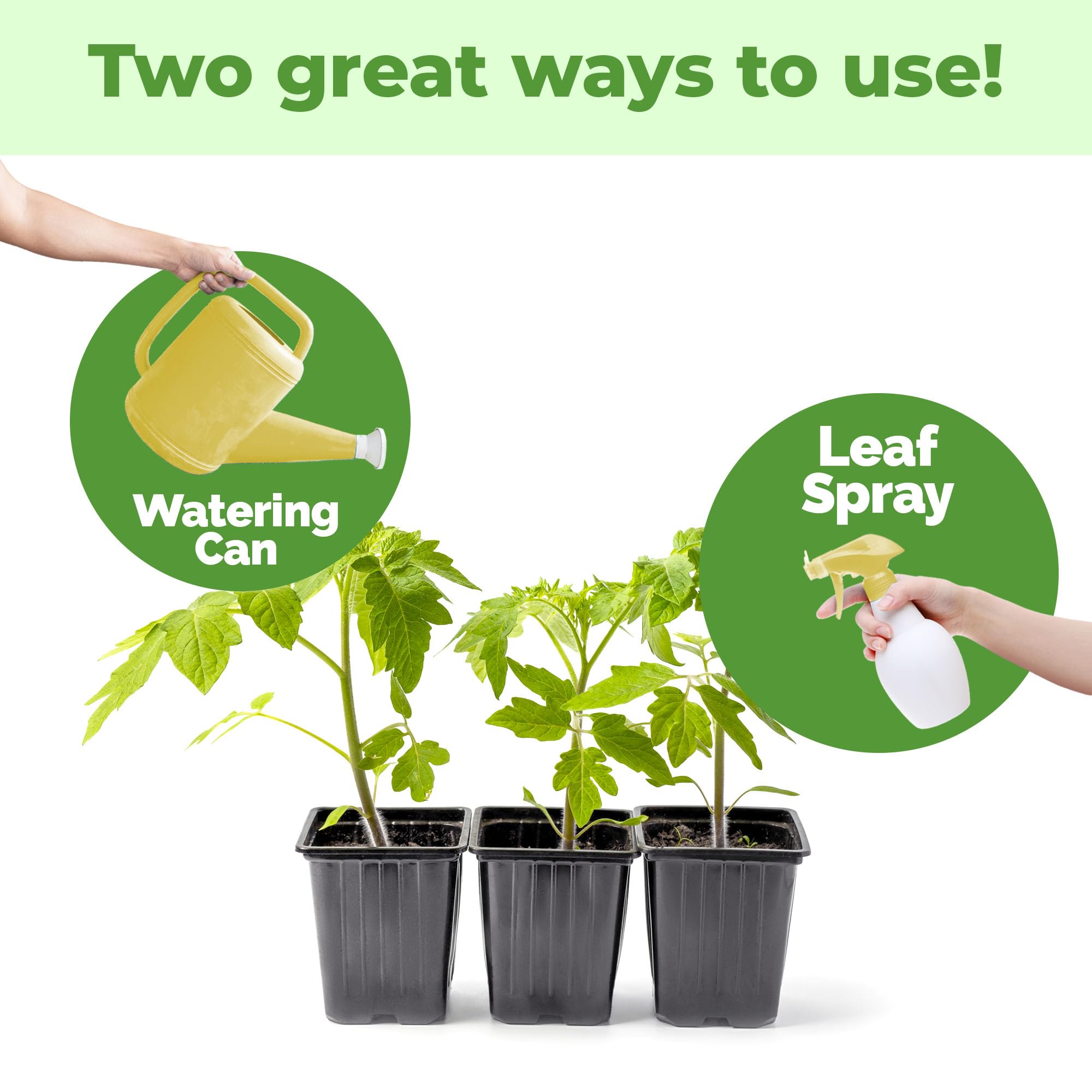 TPS NUTRIENTS Seedling Fertilizer promotes new foliage and healthy shoots.