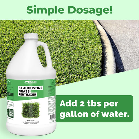 TPS NUTRIENTS St Augustine dense turf ready lawn image highlights lush color.